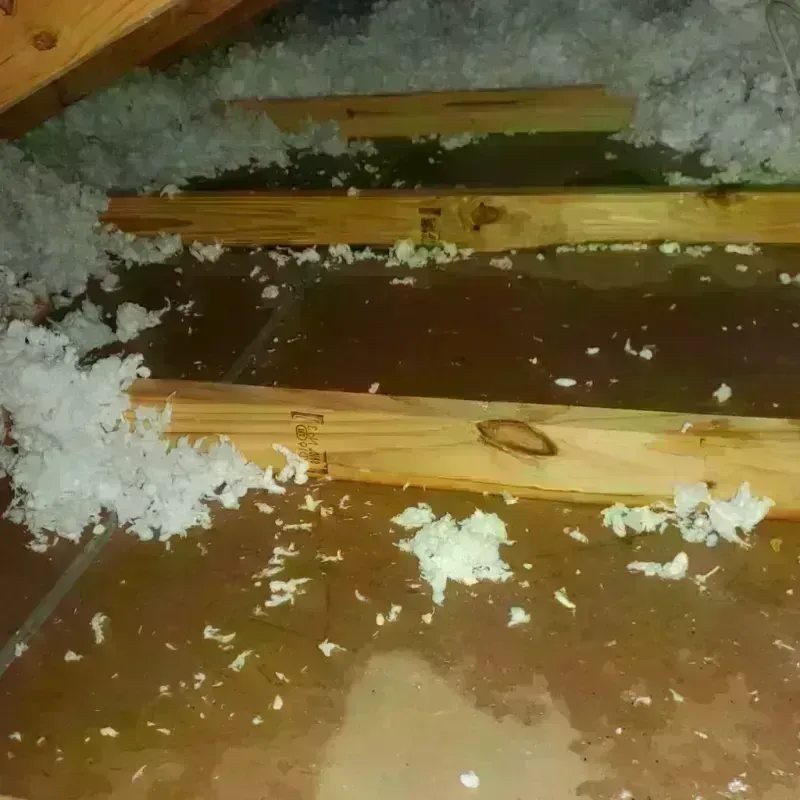 Attic Water Damage in Hilliard, FL