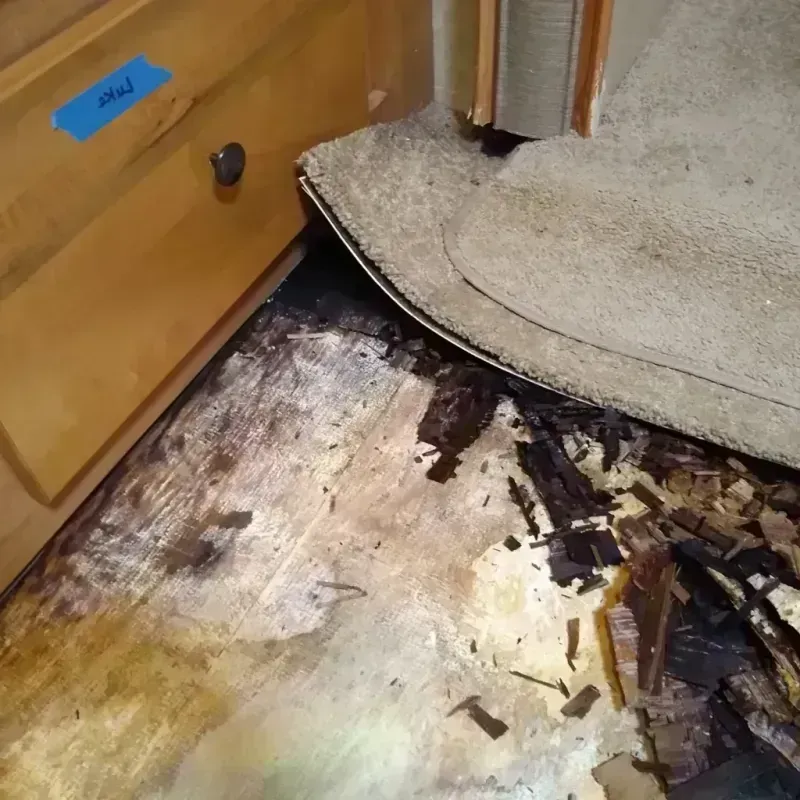 Wood Floor Water Damage in Hilliard, FL